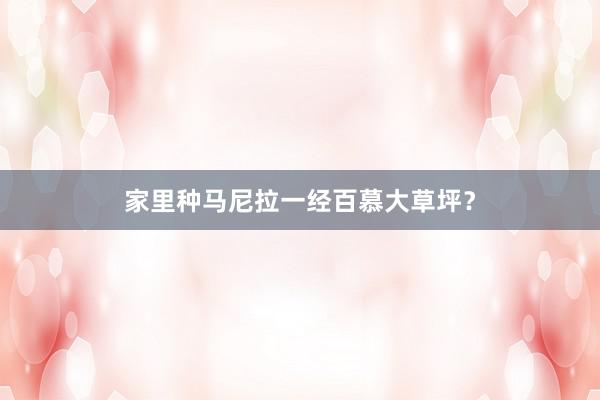 家里种马尼拉一经百慕大草坪？